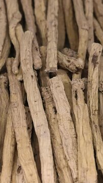 Dried Codonopsis Radix roots, also known as dudnik kolokolchatyi or dan shen in traditional Chinese medicine, lie on a wooden shelf in a Chinese pharmacy.