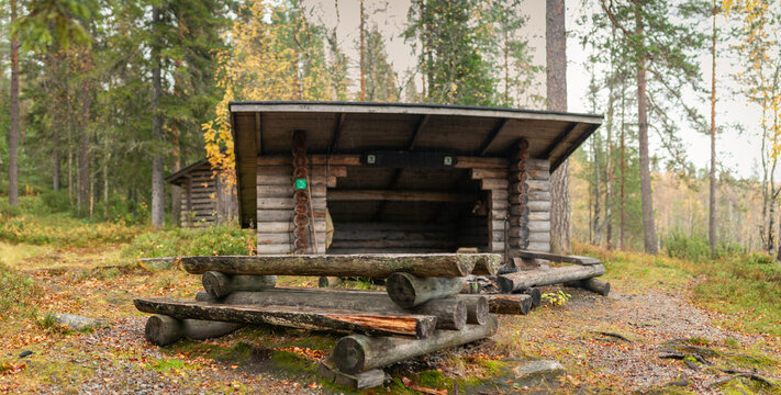 Camping Rustic Wooden Shelter with Picnic Table and Firepit Surrounded by Autumn Forest in Tranquil Wilderness