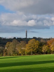 Obraz premium Autumn at park , amazing skyline 