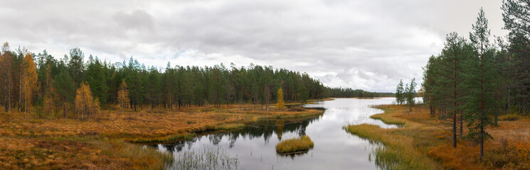 Obraz premium Scenic Nordic Wetland with Serene Waterway Meandering Through Golden Autumn Marsh and Dense Boreal Forest