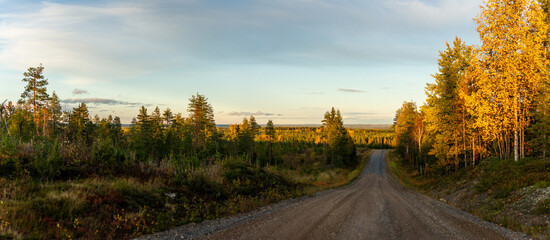 Scenic gravel road through autumn forest with golden trees and panoramic sunset view over vast wilderness