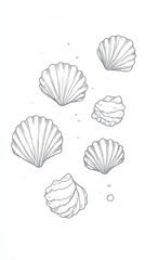 ホタテ貝のスケッチイラスト