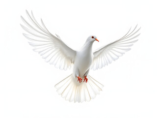 A white dove in flight, symbolizing peace, freedom, and tranquility against a clear sky.