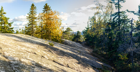 Fototapeta premium Scenic Autumn Trail On Rocky Terrain Surrounded By Lush Forest And Golden Foliage Under Soft Nordic Sunlight