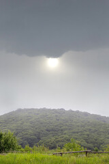 Obraz premium green hilly field in front of the forest under a gray rainy sky