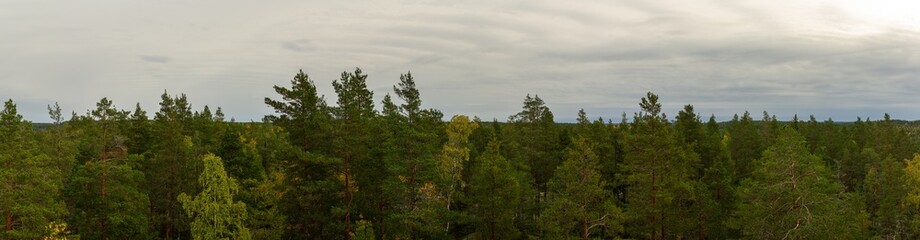 Expansive Aerial View of Dense Finnish Pine Forest Stretching Towards Distant Horizon Under Overcast Sky