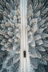 A tranquil, snowy highway cut through a dense coniferous forest under clear skies.