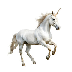 Obraz premium Majestic White Unicorn in Dynamic Pose Against Transparent Background