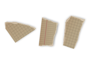 Torn Grid Notebook Paper Scraps, Vector illustration 