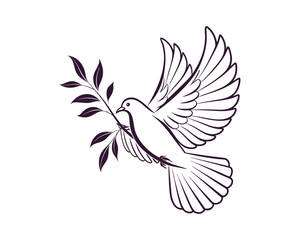 Fototapeta premium Dove Bird vector 