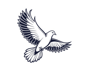 Naklejka premium Dove Bird vector 