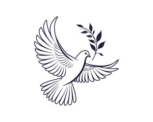 Fototapeta premium Dove Bird vector 