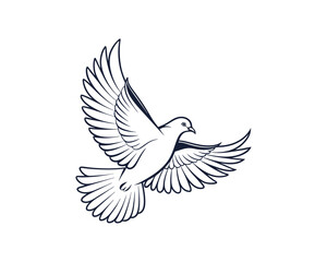 Obraz premium Dove Bird vector 
