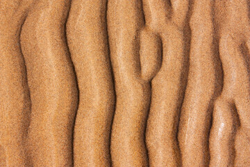 The background of sand