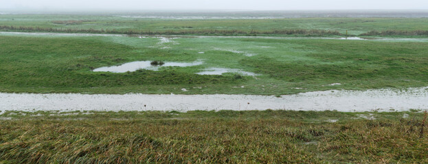 View on a misty swampy landscape with the paths of cattle on dirty muddy roads. Empty foggy panoramic deserted landscape.
