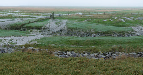 View on a misty swampy landscape with the paths of cattle on dirty muddy roads. Empty foggy panoramic deserted landscape.