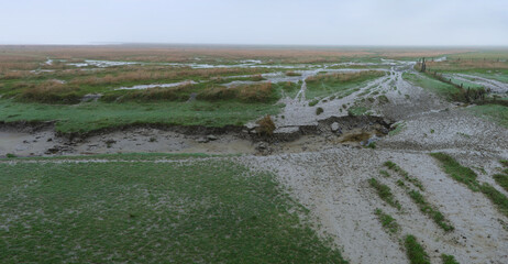 View on a misty swampy landscape with the paths of cattle on dirty muddy roads. Empty foggy panoramic deserted landscape.