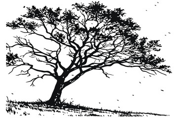 Twisted Roots Black Grunge Tree Texture Background