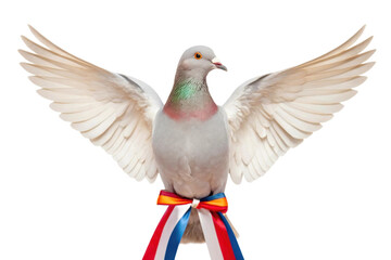 Obraz premium Beautiful dove with colorful ribbons in the air, cut out