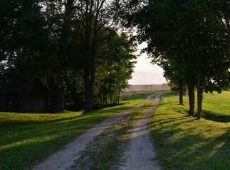 Obraz premium Rarely used country road with trees and bushes at the sides with long shadows at the sunset.