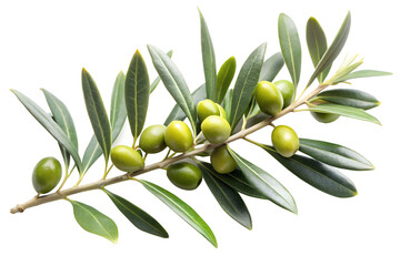 green olives with leaves