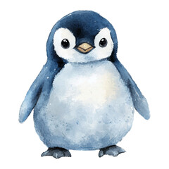 penguin on white background