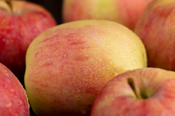 fresh crunchy apple with red and green peel