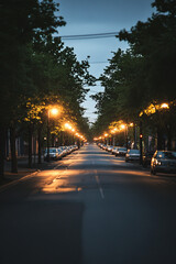 night traffic in the city