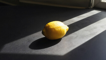 Single lemon on a dark surface