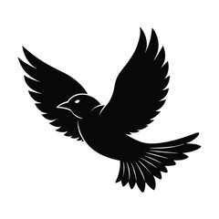 Fototapeta premium Graceful Bird in Flight Silhouette