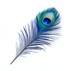 Obraz premium Striking peacock feather against a clean white backdrop, showcasing vibrant blues, greens, and the iconic eye-shaped pattern.