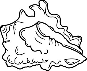 Shell pattern in contours. Sketch, outline in black and white on a white background.