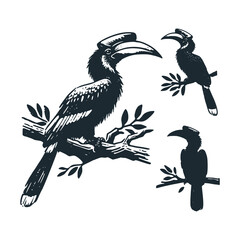 Obraz premium Hornbill Bird Perched on Branch - Black white vector illustration.