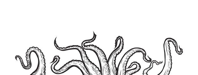 Tentacles of octopus, vector hand drawn collection of illustrations. Black and white engraving style drawings. Tentacle straight and with rings in different angles.	