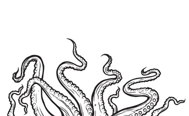 Obraz premium Tentacles of octopus, vector hand drawn collection of illustrations. Black and white engraving style drawings. Tentacle straight and with rings in different angles. 