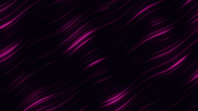 Abstract background or overlay animation with diagonal wavy magenta blue shade light lines and glow effect, concepts, ideas, 4k, transparent background with alpha channel, seamless loopable element