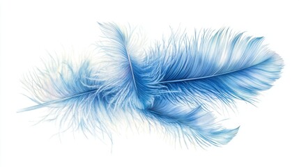 Obraz premium Delicate Blue Watercolor Feathers with Soft Texture and Whimsical Aesthetic on White Background