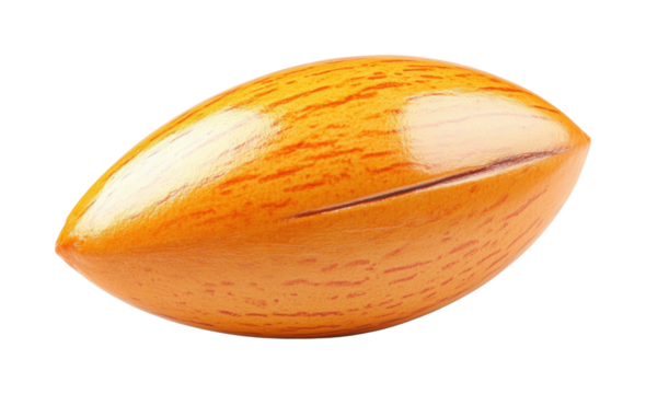 Rugby match action stadium sports outdoor view isolated on transparent background