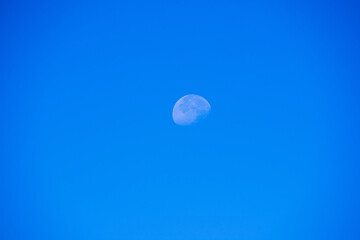 Pretty moon in the blue sky of the Moroccan desert