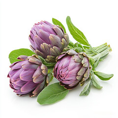 Three purple artichokes are displayed with vibrant green leaves against a clean, white background.