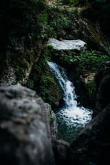 A serene small waterfall flowing through moss-covered rocks surrounded by lush greenery, creating a tranquil natural setting in a dense forest