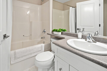 A bathroom with a white toilet, sink, and bathtub