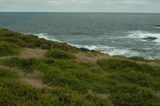 Green Ocean Coast
