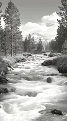  Mountain River, Forest, Rapids Flowing, Clouds, Black and White Photography, Nature Poster © Pic