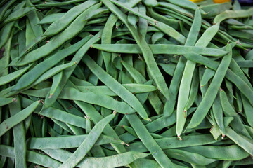 Background of fresh raw green beans. Closeup view of organic legumes pods ..