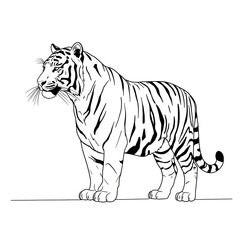 Obraz premium Black and White Tiger Illustration Side View