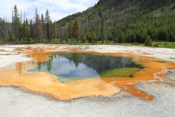 yellowstone national park wyoming