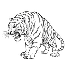 Fototapeta premium Angry Tiger Roaring Fierce Animal Illustration