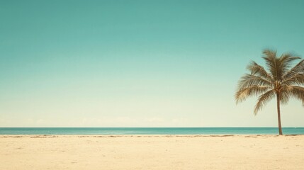 Fototapeta premium Tropical beach scene, clear sky, calm sea, perfect summer day, empty beach, vacation, travel