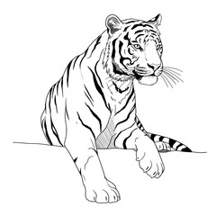 Fototapeta premium tiger vector illustration